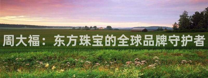 天宏娱乐地址:周大福:东方珠宝的全球品牌守护者