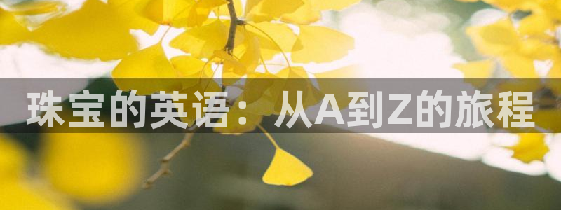 天宏娱乐李叔:珠宝的英语:从A到Z的旅程