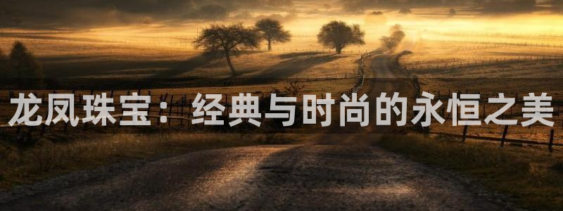 临沂天宏娱乐会所电话地址:龙凤珠宝:经典与时尚的永恒之美